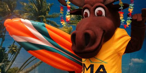 The Financial Benefits and Costs of Using Mascots in Marketing Campaigns